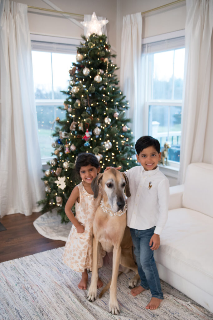 kids posing with their dog in front of the christmas tree
