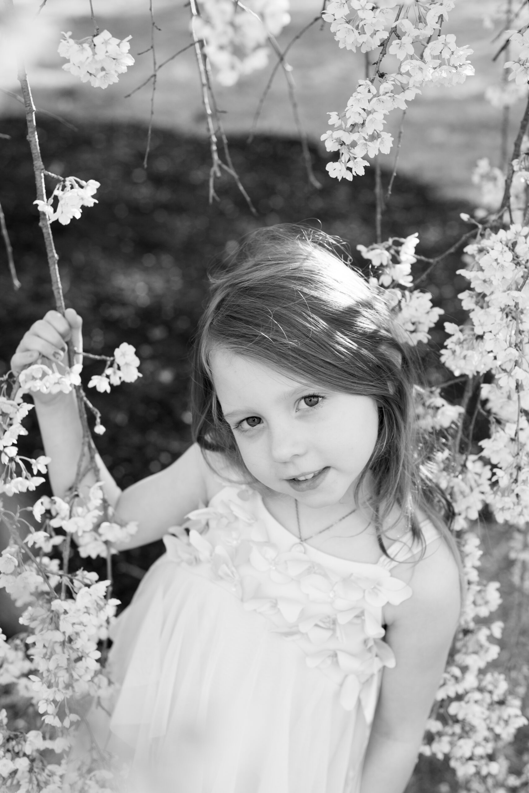 little girl portrait with the Cherry Blossoms in Ault Park Cincinnati
