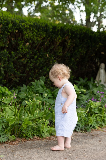 toddler walking at a photo shoot in Ault Park